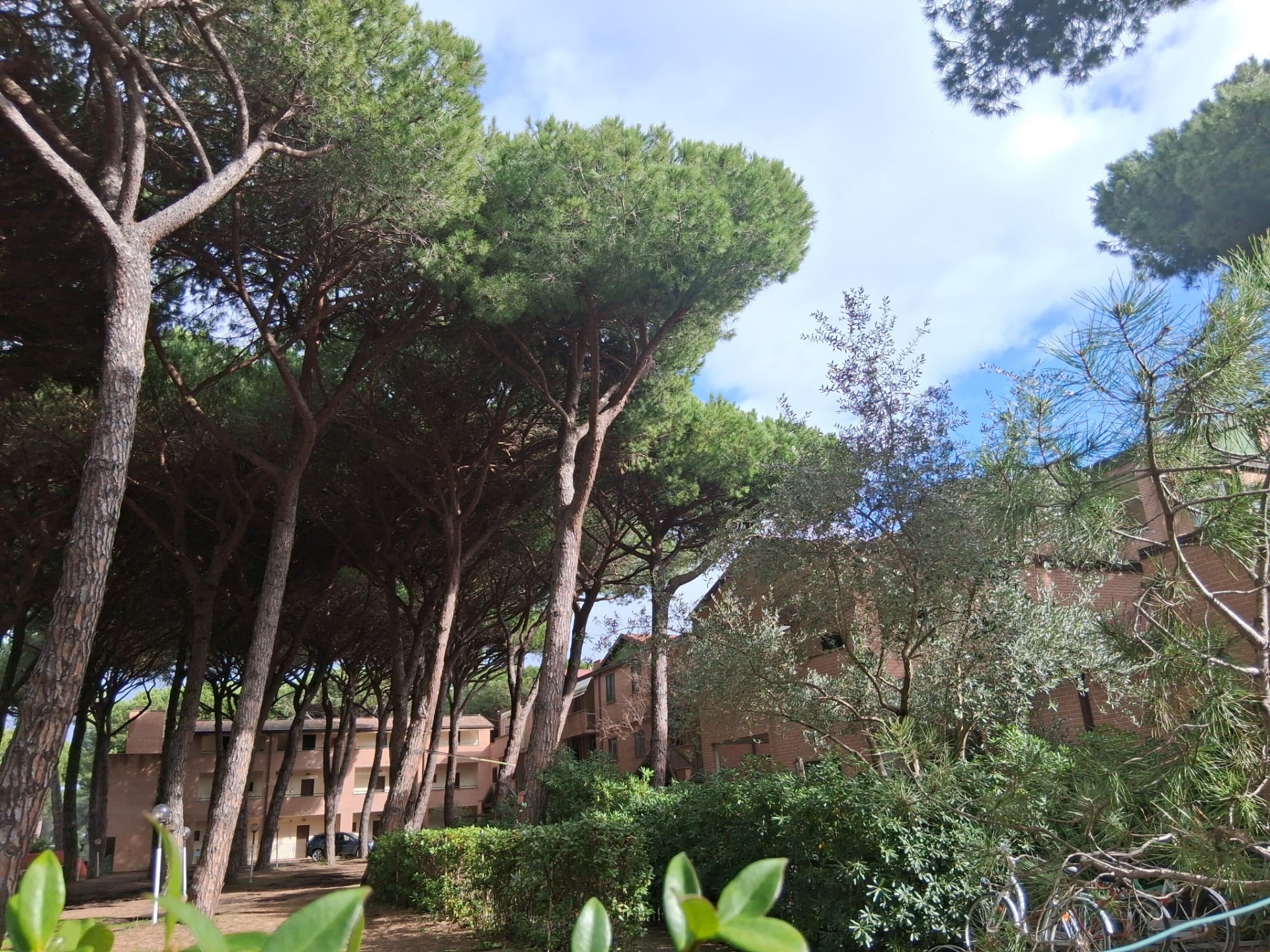 Bilocale Marina Di Grosseto  — foto 2