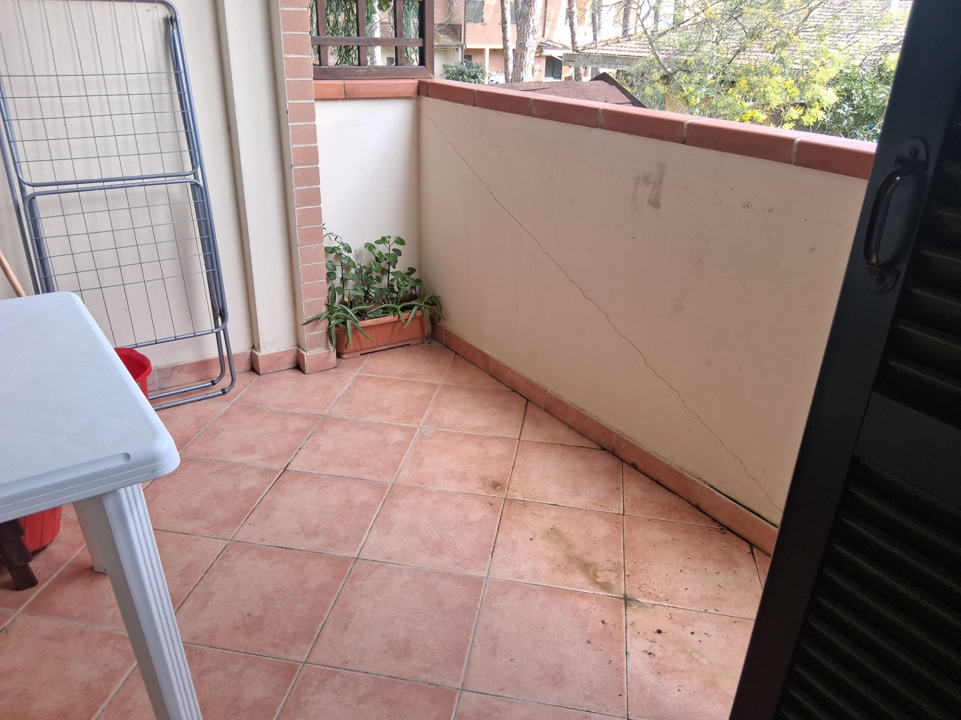 Bilocale Marina Di Grosseto  — foto 8